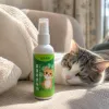 500ml green label spray bottle, press-type eco-friendly spray bottle for laboratory use details Picture